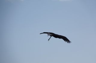 GC-Plalmitos Park 2019-134.JPG